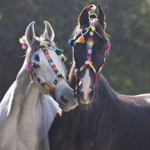 Meet your Posher, Nadia